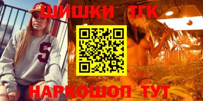 гидропоника Будённовск