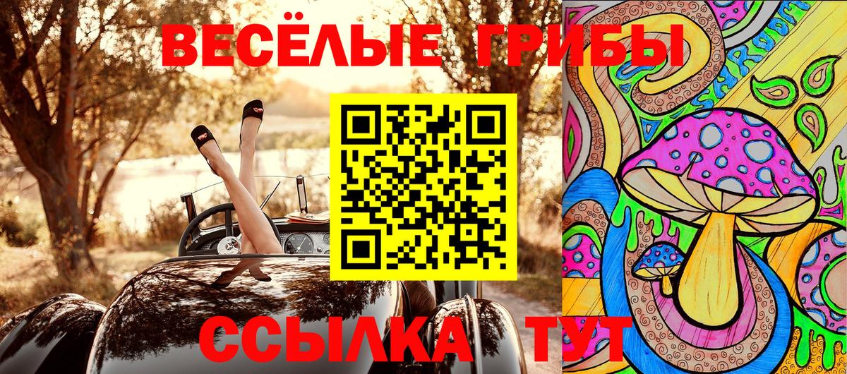 Котельники  Галлюциногенные грибы Magic Shrooms  Вход с VPN 