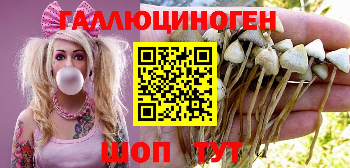 Галлюциногенные грибы прущие грибы Котельники